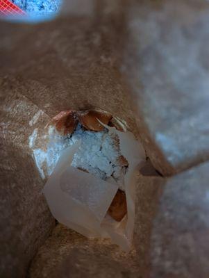 Bag of mini beignets