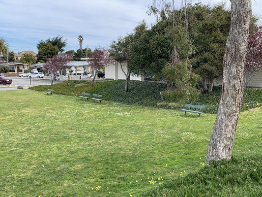 Hidden benches where you can relax behind the DMV (for example if you can't accompany a friend or family member)