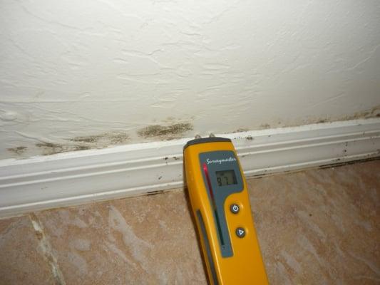 Your Naples licensed mold assessor (inspector) must use a moisture meter to identify "wet spots" - mold need moisture to grow.