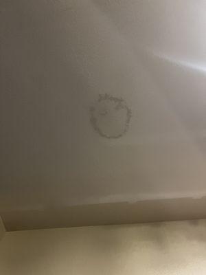 Leaking ceiling