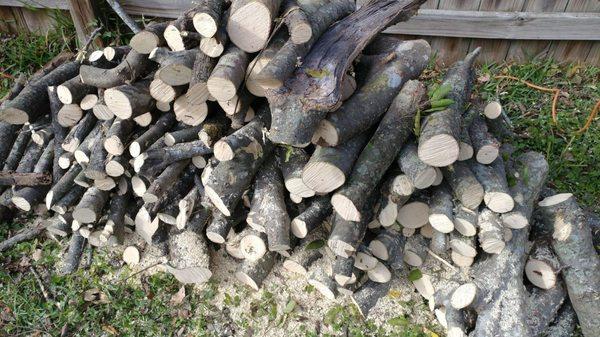 Firewood from the hackberry for our firepit