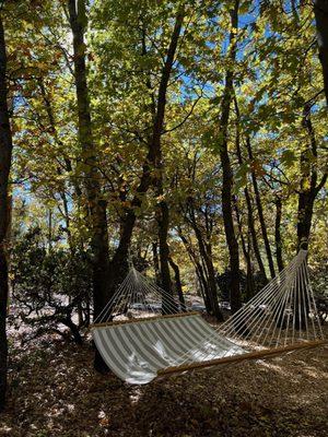 My favorite hammock.