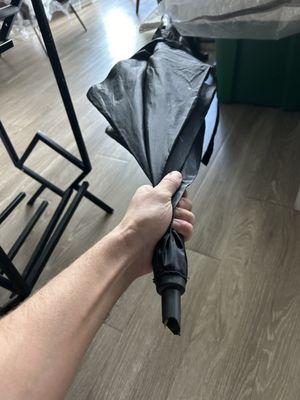 How does one even destroy an umbrella? They found a way to