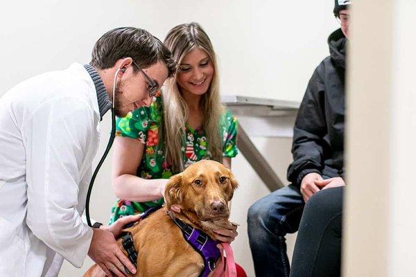 Dr. Murphy examining one of our patients.