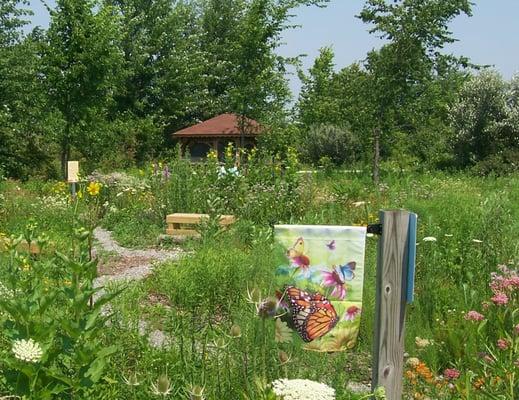 Butterfly garden and rearing gazebo located near the family campground.