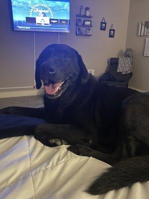 Marshall happy boy after his bath!