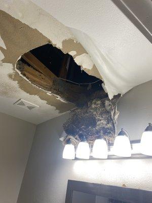 Damaged Ceiling