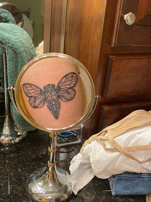 My beautiful cicada tattoo!