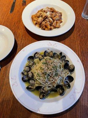 Linguine alle Vongole, Rigatoni with Oxtail Ragu and Pecorino Romano