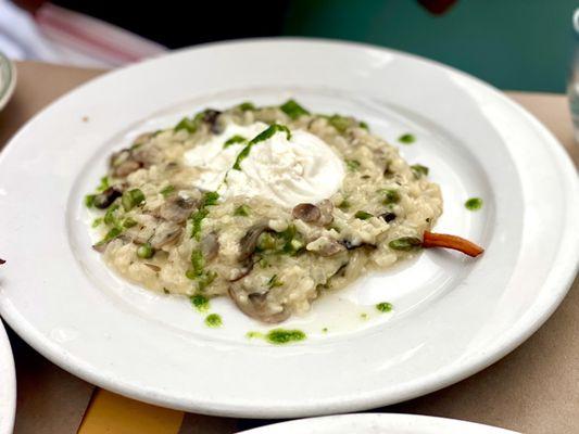 Mushroom Risotto