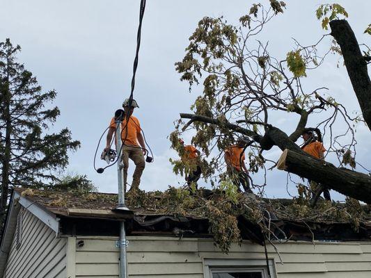 Granite city
 Cleaning tree off house