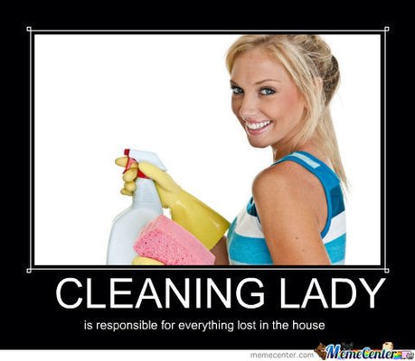 Sassys Cleaning Services