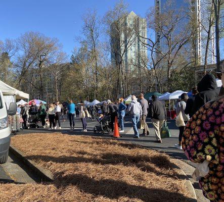 Longest line at Little Tart Bakeshop