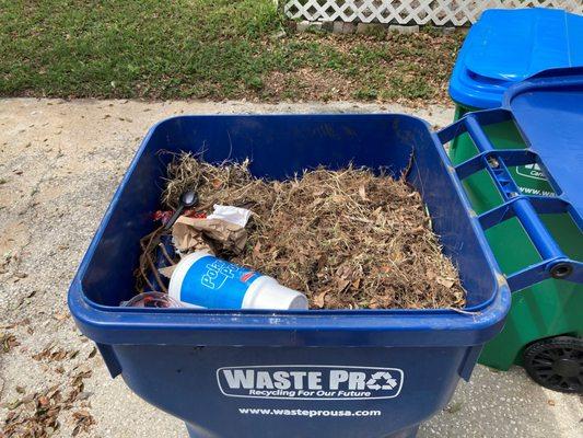 This is the junk and trash they put on top of our recycling for the day. Of course it was never picked up!