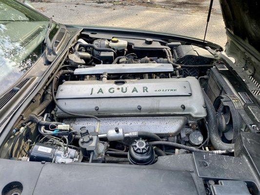 Classic Jaguar repair