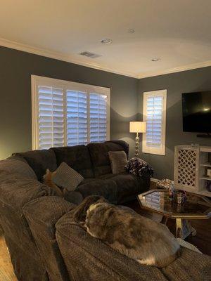 Plantation Shutters For Less