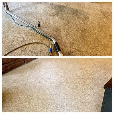 Superior Carpet & Upholstery Cleaning