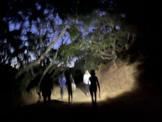 Heading back after sunset, we're using headlamps to get back to the car park