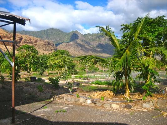 The majestic Waianae Moutains serve as a beautiful backdrop to this quaint outfit