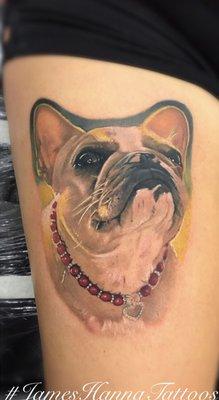 Animal Portrait by James Hanna Instagram  JamesHannaTattoos