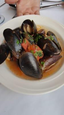 Steamed mussels with tomato and chorizo