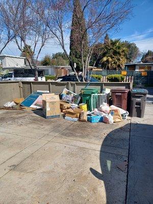 Accumulated trash from our house over the last couple of months.