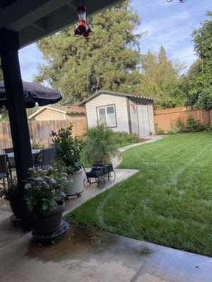 Birdhouse storage shed in backyard !