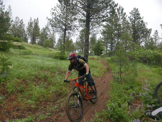 Teanaway Community Forest