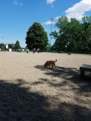 South Euclid Dog Park