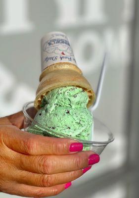 Mint chocolate chip ice cream