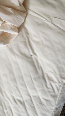 Dry blood in sheets