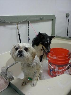 brothers getting a bath