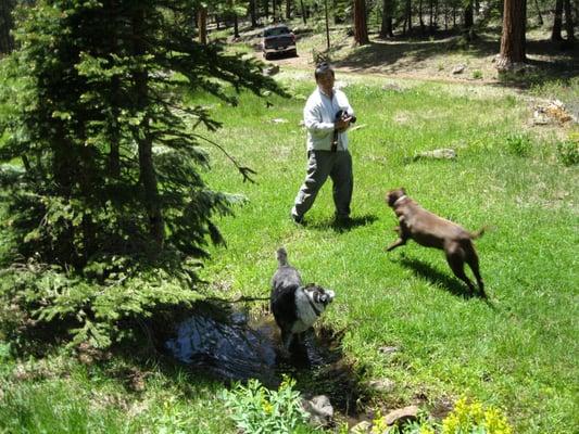 Taking photos near Hannagan Meadow in the White Mountains of Arizona.