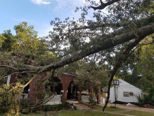 High winds and Big Trees sometimes don't mix. Get your trees trimmed or removed before disaster strikes.