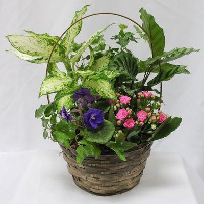 Plant basket