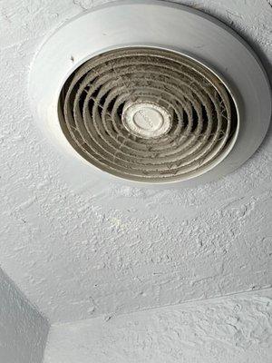 The filthy vent in the bathroom ceiling.