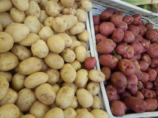 Variety of new potatoes