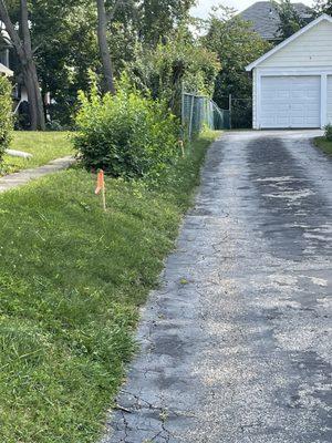 Didn't know how this space and fence was designated. BTW- my neighbor I abutted is awesome and found info helpful as well