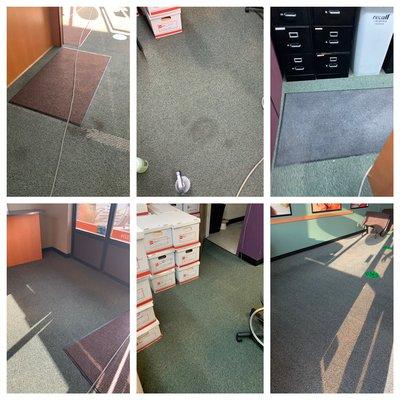 Commercial Carpet Cleaning Before & After