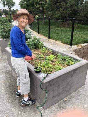 Jamie at her polar in the Commons Park garden - early in the season of 2022.