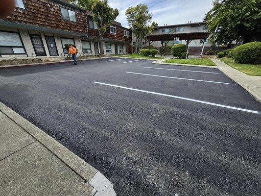 Resurfaced apartment complex parking area, along with fresh striping.