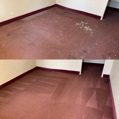 Clean carpet after hotel remodel.