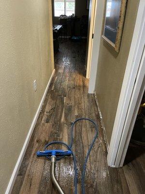 Water damage cleanup