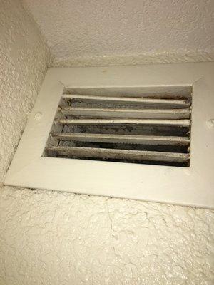 Vent moldy