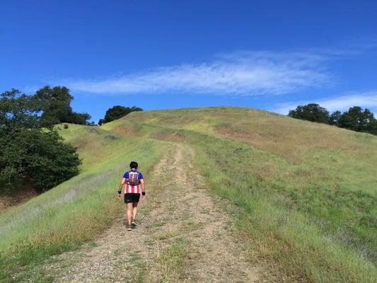 Lake Sonoma 50 mile