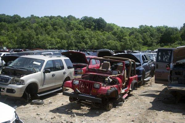 Our Truck Section has a Good Mix of Trucks, SUVs, & Full Size Vans