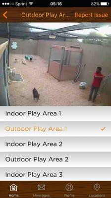 Play areas are separated by size, so there are different outdoor play areas depending on what size your dog is.