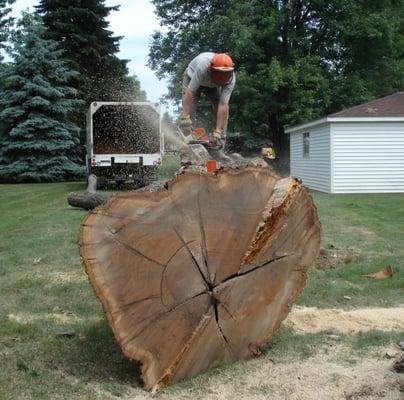 The Lumberjacks Tree Service