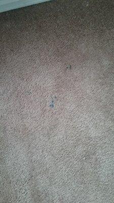 Dirty carpet