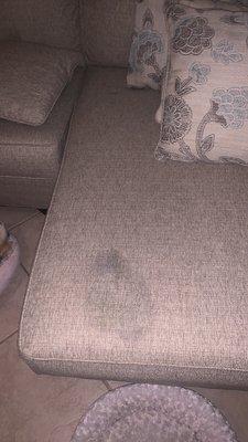 The stain their technician created by leaving the wet, stained cushion cover on my chaise